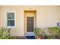 Home's front door is painted brown and is accented by green landscaping at 12843 Buffalo Run Dr, Gibsonton, FL 33534