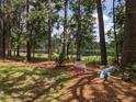 Private wooded backyard near the lake perfect for relaxing and enjoying nature at 23713 Acorn Hill Dr, Lutz, FL 33559