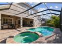 An inviting backyard pool and spa surrounded by a screened enclosure perfect for relaxation and entertainment at 11909 Mandevilla Ct, Tampa, FL 33626
