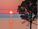 Stunning sunset view over the water, peaceful and serene at 2041 Beach Dr Se, St Petersburg, FL 33705
