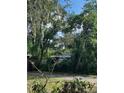 View of a house partially obscured by trees and vegetation at 9431 Pontiac St, New Port Richey, FL 34654