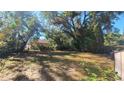 Spacious backyard with mature trees and large grassy area at 4225 E Curtis St, Tampa, FL 33610