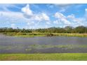 Serene pond view with lush greenery and a beautiful blue sky at 5923 Sandstone Ave, Sarasota, FL 34243