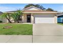 Charming one-story home with a well-manicured lawn and two-car garage at 15427 Winter Breeze Ln, Wimauma, FL 33598