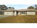 Charming single-story home featuring a stone facade, attached garage, and well-maintained lawn at 14315 Knoll Ridge Dr, Tampa, FL 33625