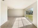 This cozy living room features plush carpeting and an extra-large window for ample natural light at 14315 Knoll Ridge Dr, Tampa, FL 33625