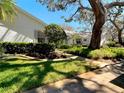 Beautifully landscaped front yard with lush greenery and manicured hedges at 4215 Edgewood Dr, Holiday, FL 34691