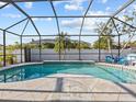 Screened-in pool area with dolphin art on concrete, lounge chairs, and lush landscaping for privacy at 821 Greenview Dr, Apollo Beach, FL 33572