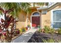 Close-up of the home's entrance, complemented by tropical plants and charming decorative touches at 29643 Forest Glen Dr, Wesley Chapel, FL 33543