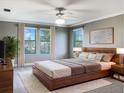 Serene bedroom featuring three bright windows, modern ceiling fan, and an elegant plush rug at 6113 Shadowlake Dr, Apollo Beach, FL 33572