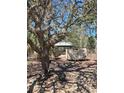Serene backyard featuring a gazebo, lush trees, and a nature retreat at 12403 Snowy Egret Ave, Weeki Wachee, FL 34614