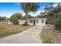 Charming single-story home featuring a well-maintained lawn and a beautiful mature shade tree in the front yard at 3307 W Ballast Point Blvd, Tampa, FL 33611