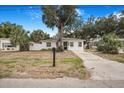 Charming single-story home featuring a concrete driveway and front yard with large tree at 3307 W Ballast Point Blvd, Tampa, FL 33611