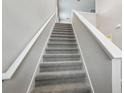 Carpeted staircase with white handrails leading to the upper level of the home at 3824 Radiant Mountain Dr, Plant City, FL 33565