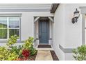 Inviting front entrance features a stylish gray door, textured wall, and manicured landscaping at 12963 Brookside Moss Dr, Riverview, FL 33579