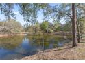 Scenic pond surrounded by mature trees, offering a tranquil and natural setting at 3634 Apfel Rd, Wesley Chapel, FL 33543