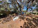 Shows a fenced backyard with scattered debris, shaded by trees, and covered in fallen leaves at 9113 Myaka St, New Port Richey, FL 34654