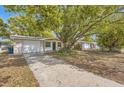 Inviting single-story home with a long driveway and mature landscaping at 3702 Pensdale Dr, New Port Richey, FL 34652