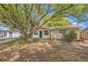 Single-story home with mature landscaping, a dark front door, and a charming front yard at 3702 Pensdale Dr, New Port Richey, FL 34652