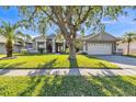Charming single-story home featuring a manicured lawn and mature tree at 1647 Stable Trl, Palm Harbor, FL 34685
