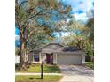 Home exterior featuring mature trees, a well-manicured lawn, gray siding, a gray roof, and a two-car garage at 1610 Spinning Wheel Dr, Lutz, FL 33559