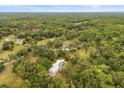 Aerial view of the home nestled among the trees at 10809 Cedar Cove Drive, Thonotosassa, FL 33592