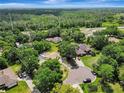 Lush, green aerial view showcasing the property's setting among mature trees and a nearby highway at 20003 Holly Lake Pl, Lutz, FL 33558