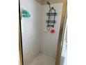 Bathroom with a stand up shower featuring a sleek shower head and built in shelving at 11317 Village Brook Dr, Riverview, FL 33579