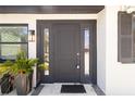 Elegant dark-colored front door featuring sidelights and decorative accents, enhancing the home's curb appeal at 75 Virginia Ct, Englewood, FL 34223