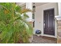 Elegant front entrance featuring a dark wood door, stone accents, and lush tropical plants at 1966 Hyde Park St, Sarasota, FL 34239