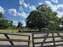 View of the backyard featuring a large shade tree, fenced perimeter, and a metal gate at 23046 Brandy Rd, Land O Lakes, FL 34639