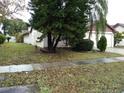 A mature tree is in the front yard of this single story home at 2011 N 61St St, Tampa, FL 33619