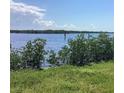 Scenic water view featuring lush greenery, serene waters, and clear blue skies with scattered clouds at 3360 Peace River Dr, Punta Gorda, FL 33983