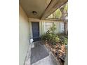 Front door to house with overgrown landscaping and walkway at 8731 N 26Th St, Tampa, FL 33604