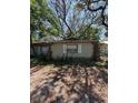 Side exterior of a home with trees and overgrown bushes at 8731 N 26Th St, Tampa, FL 33604