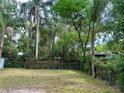 Large backyard featuring a chain link fence and mature trees, offering a private outdoor space at 4213 Temple Heights Rd, Tampa, FL 33617