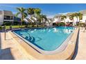 Community pool surrounded by mature palm trees and wrought iron fencing at 738 Haven Pl, Tarpon Springs, FL 34689