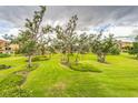 Scenic view of the community greenspace with mature trees and manicured lawns enhancing the natural landscape at 1408 3Rd Street E Cir, Palmetto, FL 34221