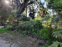 Lush greenery and mature trees surround this property, creating a serene outdoor space at 820 Bayou Ave, Tarpon Springs, FL 34689