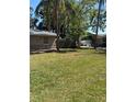 Large backyard with lush grass, palm trees, and a privacy fence, perfect for outdoor activities at 1317 W Alicia Ave, Tampa, FL 33604