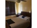 Comfortable bedroom features a queen bed, bedside table, and ceiling fan at 6718 Runningwoods Dr, Tampa, FL 33634