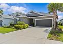 Attractive single-story home featuring a two-car garage, landscaped front yard, and a palm tree at 10516 Tranquil Meadow Loop, Riverview, FL 33569