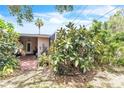 View of the backyard, surrounded by lush landscaping and mature trees at 251 Tropic W Blvd, Largo, FL 33770