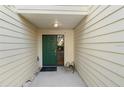 Inviting front entrance featuring a green door with a glass side panel at 11239 Cedar Hollow Ln, Tampa, FL 33618