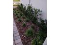 Beautiful landscaping featuring decorative stone mulch and neatly arranged green shrubs at 12513 Oak Hill Way, Parrish, FL 34219