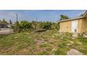 Spacious backyard with lush greenery, offering a private outdoor space at 5101 Town N Country Blvd, Tampa, FL 33615