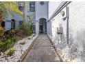 Charming entrance walkway adorned with decorative stones and lush plants leading to the front door at 4239 Brentwood Park Cir, Tampa, FL 33624