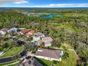 Aerial view of lovely homes nestled among lush greenery and tranquil lakes under a clear blue sky at 5009 Clover Mist Dr, Apollo Beach, FL 33572