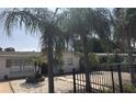 A cozy single-story home featuring palm trees, a white rock lawn, and a secure black metal fence at 3680 Whiting Se Dr, St Petersburg, FL 33705