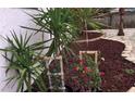Intricately landscaped flowerbeds at 3680 Whiting Se Dr, St Petersburg, FL 33705